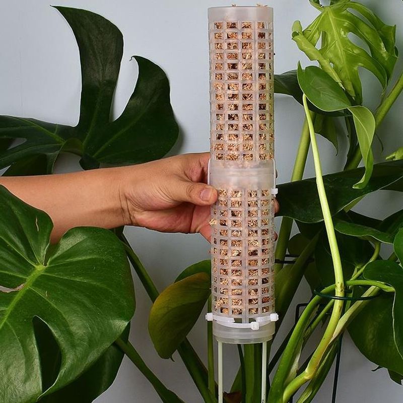 Sphagnum Moss Dry - Sphagnum Moss Pole for Orchid And