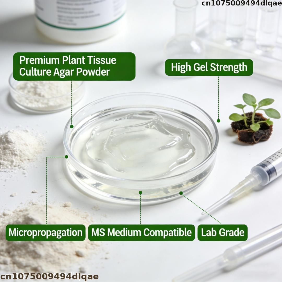 Plant Tissue Culture Agar Powd - Agar Tissue Culture ulasan dan harga