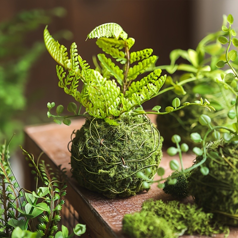 Artificial Moss Ball Planter,  - Sphagnum Moss Dry ulasan dan harga