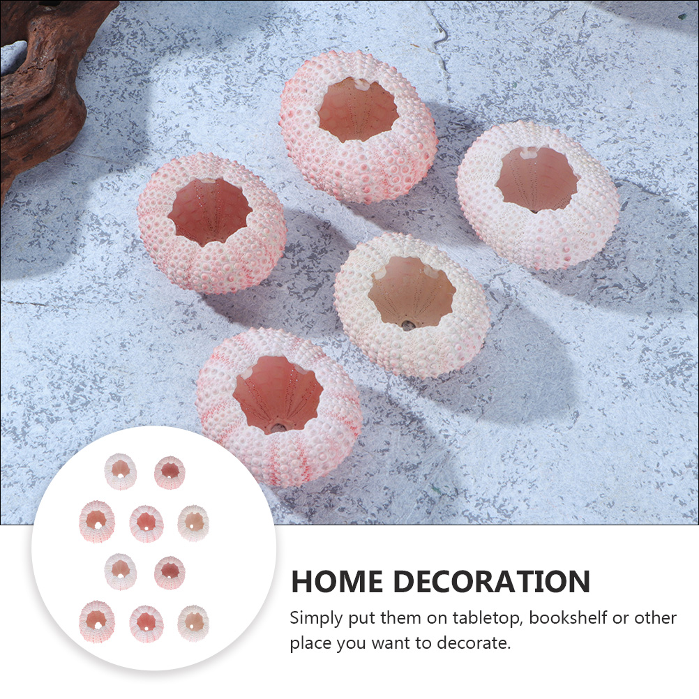 10Pcs DIY Jewelry Making Sea S - Propagation Station Vase ulasan dan harga