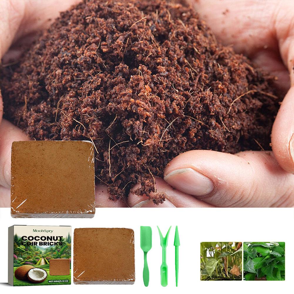 Coconut Coir Fiber Brick - Org - Sphagnum Moss Dry ulasan dan harga