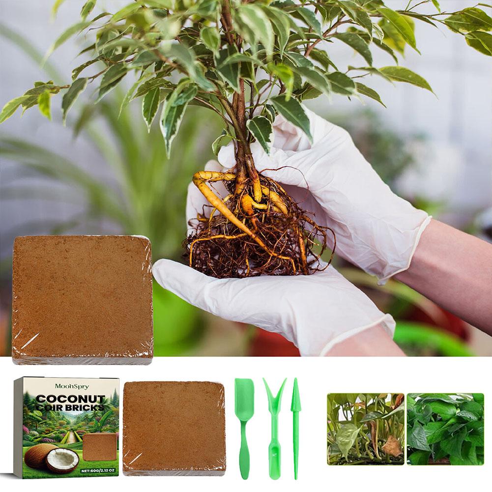 Coconut Coir Fiber Brick - Org - Sphagnum Moss Dry ulasan dan harga