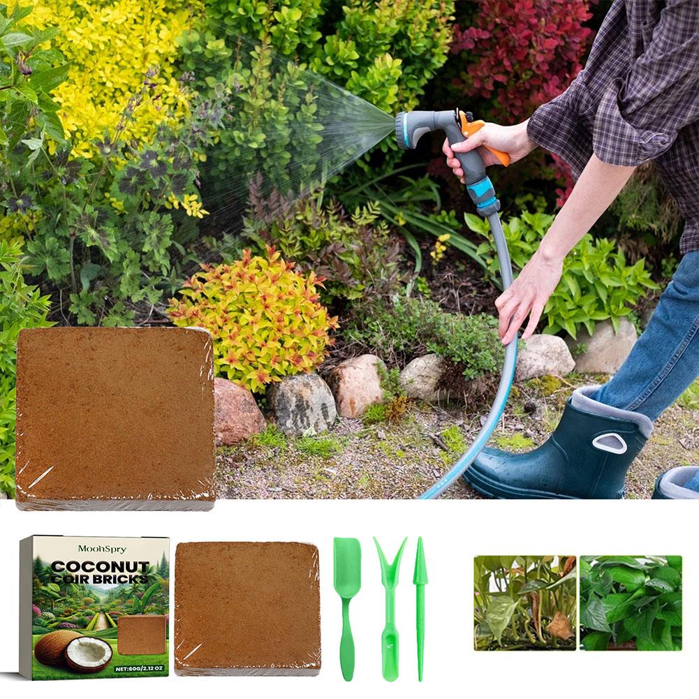 Coconut Coir Fiber Brick - Org - Sphagnum Moss Dry ulasan dan harga