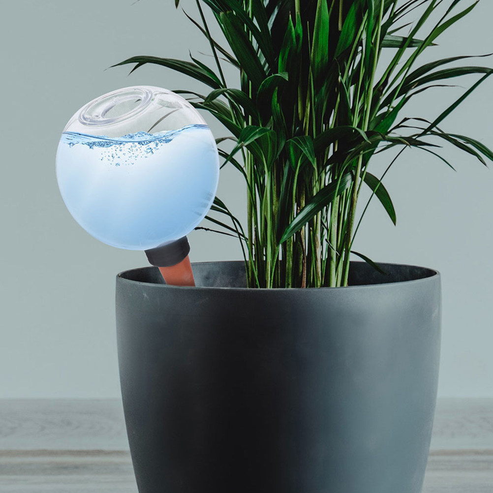 3Pcs Watering Globes Automatic - Self Watering Insert ulasan dan harga