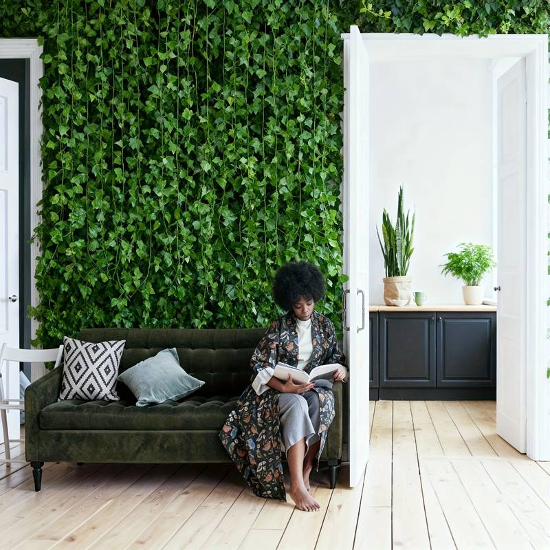 24 PCS Total 19m/755inch Ivy G - Sphagnum Moss Dry ulasan dan harga