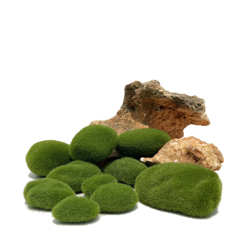 Artificial Fake Moss Rock Eter - Sphagnum Moss Dry ulasan dan harga