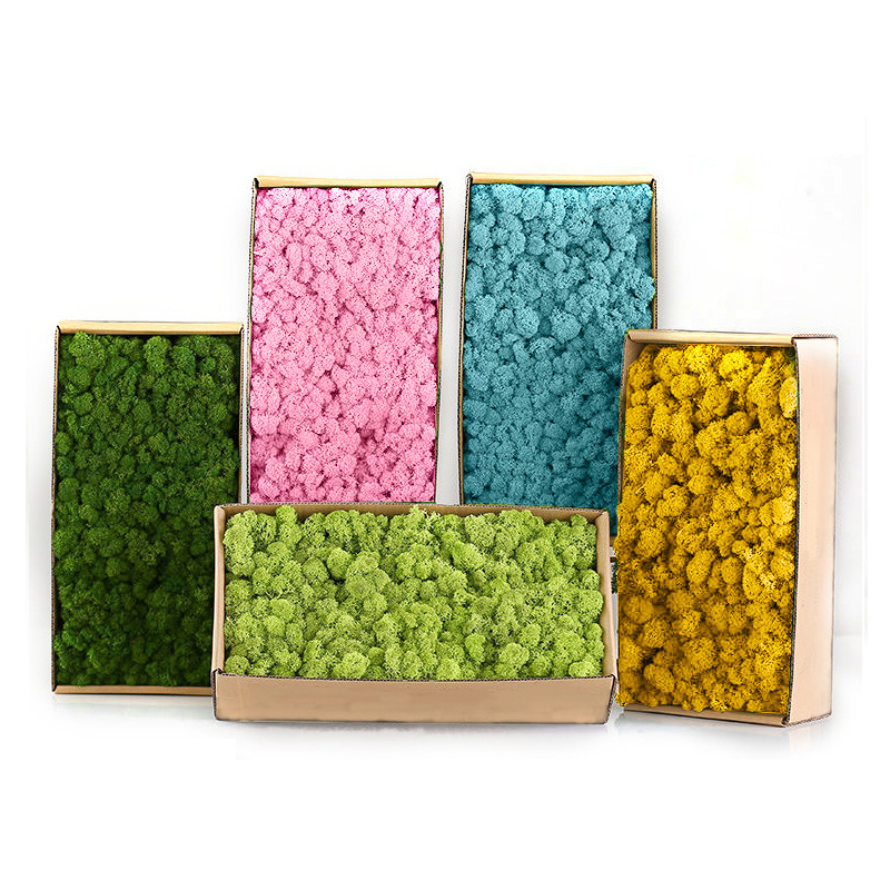 Artificial Green Plants Mini L - Sphagnum Moss Dry ulasan dan harga